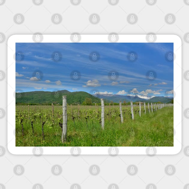 Spring Landscape Near Cividale del Friuli Sticker by jojobob